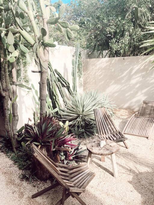 Hotel Boutique Kaa Mérida Dış mekan fotoğraf