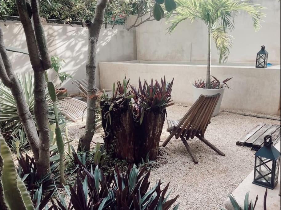 Hotel Boutique Kaa Mérida Dış mekan fotoğraf