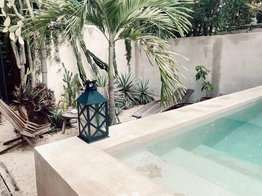 Hotel Boutique Kaa Mérida Dış mekan fotoğraf