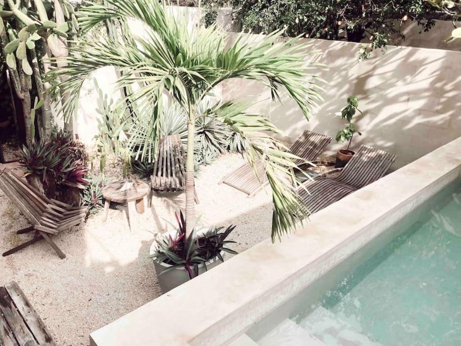 Hotel Boutique Kaa Mérida Dış mekan fotoğraf